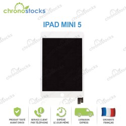 Ecran LCD vitre tactile blanc iPad Mini 5
