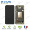 Ecran complet original Samsung Galaxy A55 5G A556B Lime