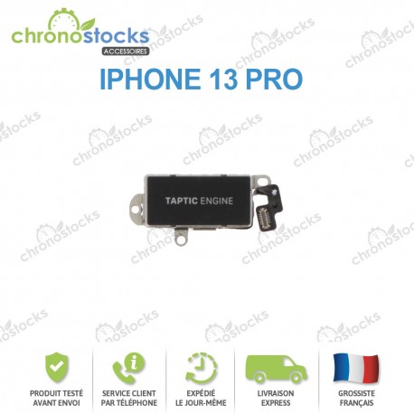 Vibreur iPhone 13 Pro