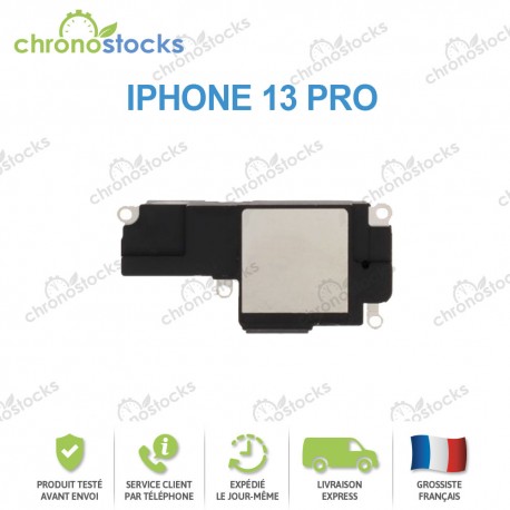 Haut-Parleur iPhone 13 Pro