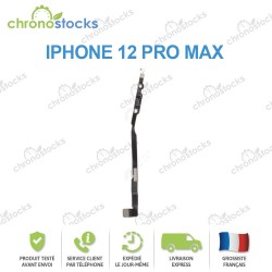 Antenne Bluetooth iPhone 12 Pro Max
