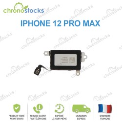 Vibreur iPhone 12 Pro Max