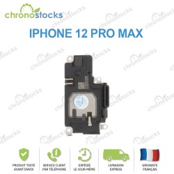 Haut-Parleur iPhone 12 Pro Max