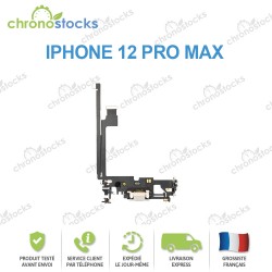 Connecteur de Charge Argent iPhone 12 Pro Max