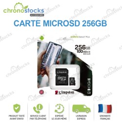 Kingston Canvas Select Micro SD 256GB